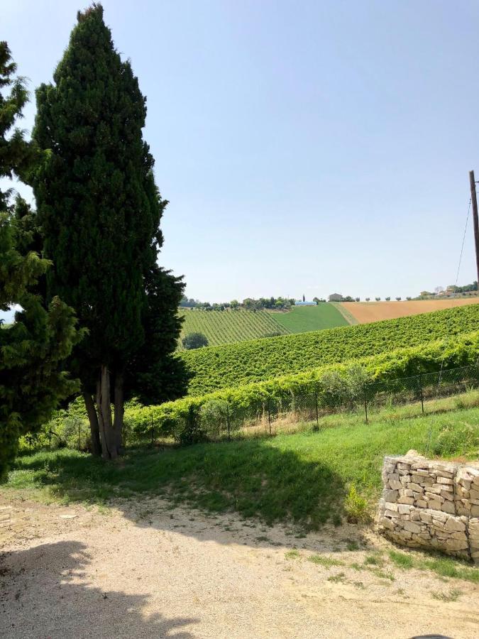 B&B Santa Caterina Acquaviva Picena Exterior foto