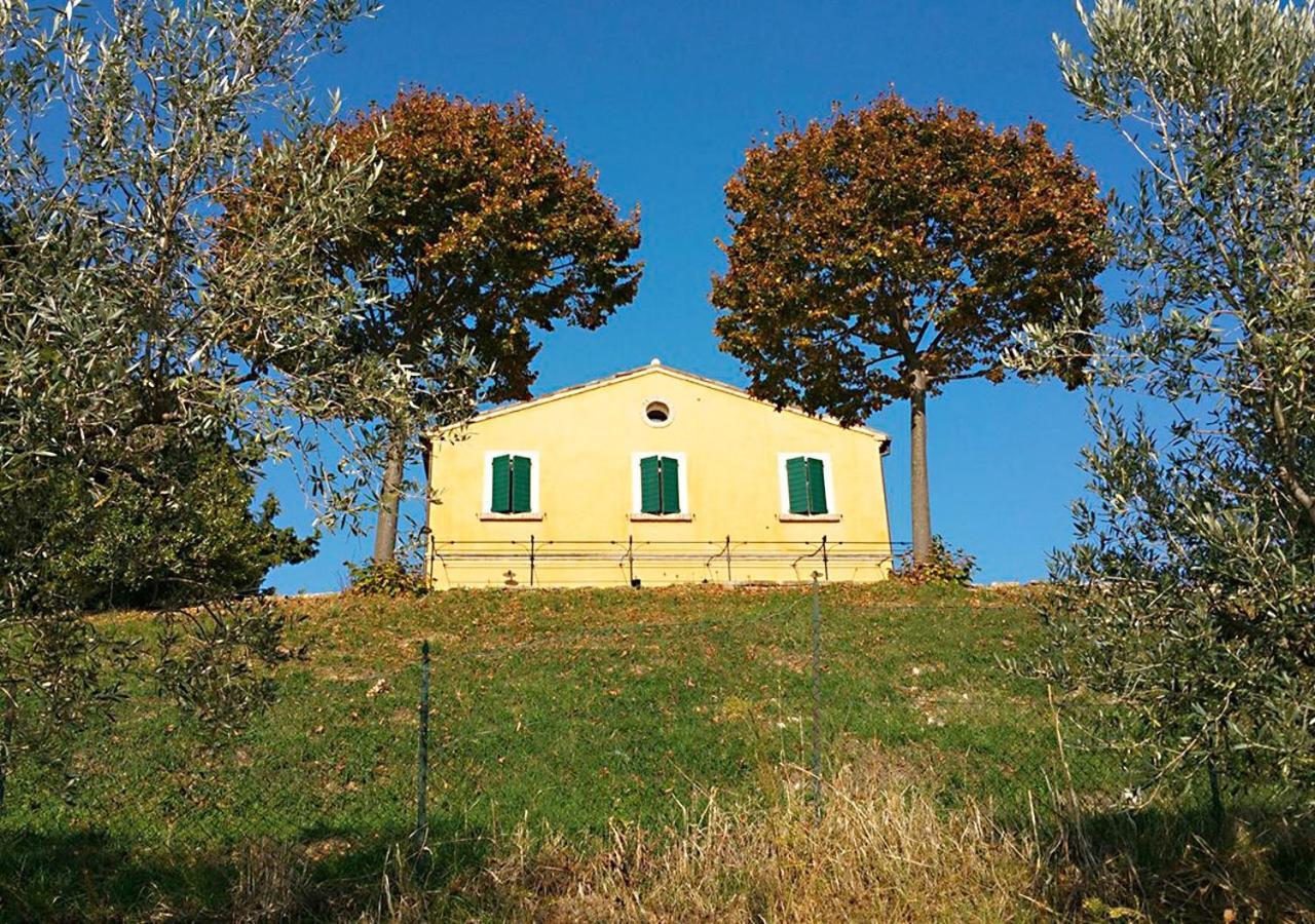 B&B Santa Caterina Acquaviva Picena Quarto foto
