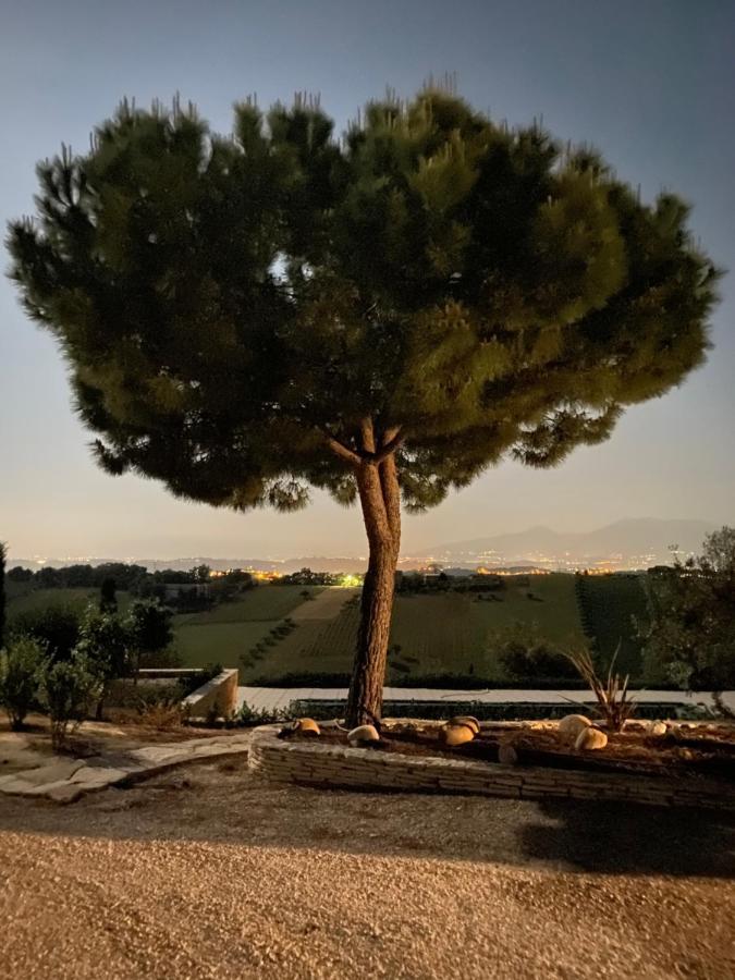 B&B Santa Caterina Acquaviva Picena Exterior foto