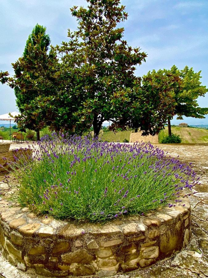 B&B Santa Caterina Acquaviva Picena Exterior foto